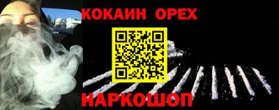 дмт Тара